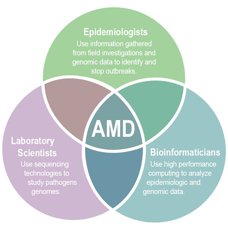 AMD Venn Diagram