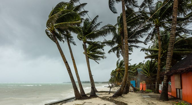 High winds from severe weather blows trees