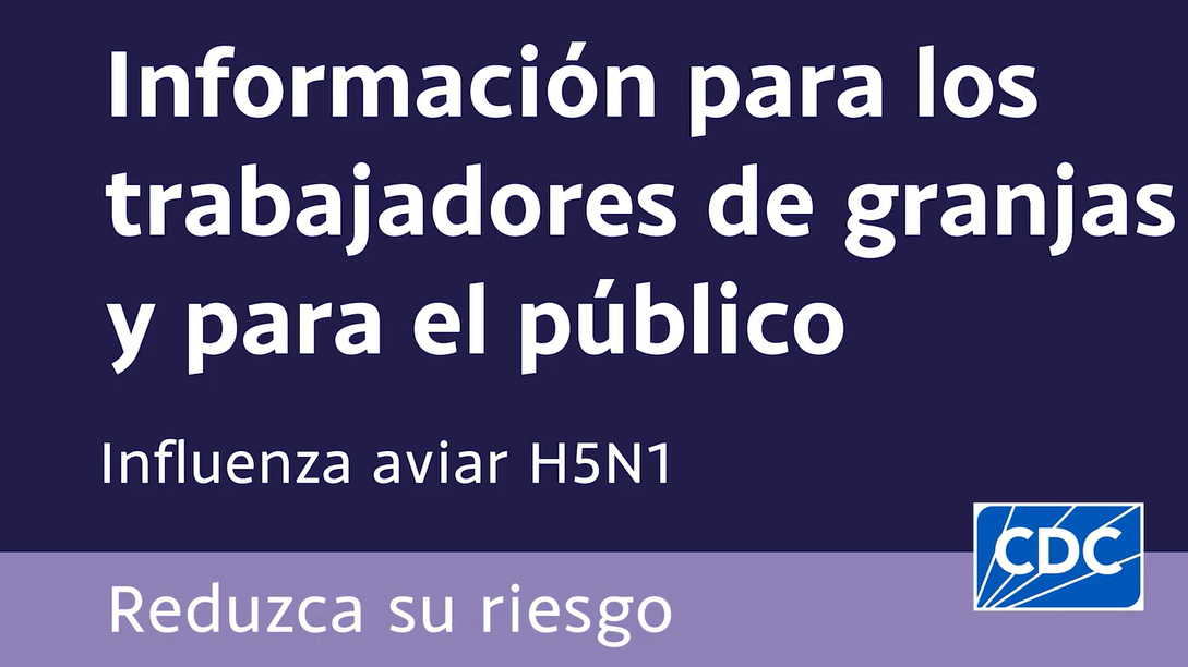 H5N1: aprenda medidas preventivas