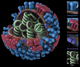 Business/Employers Influenza Toolkit