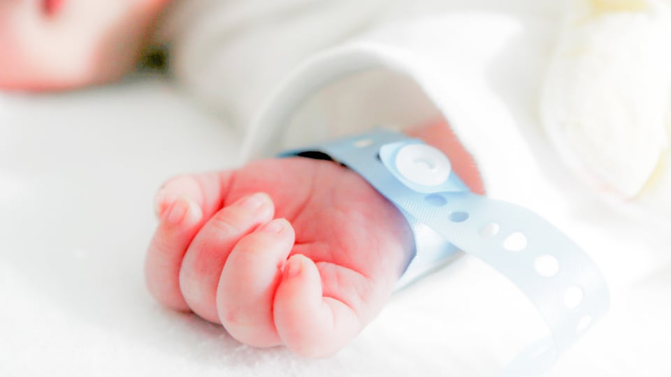 Hand of newborn with hospital bracelet.