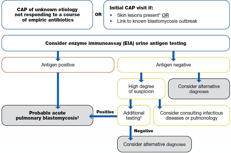 Decision tree explaining scenarios leading to different testing decisions.