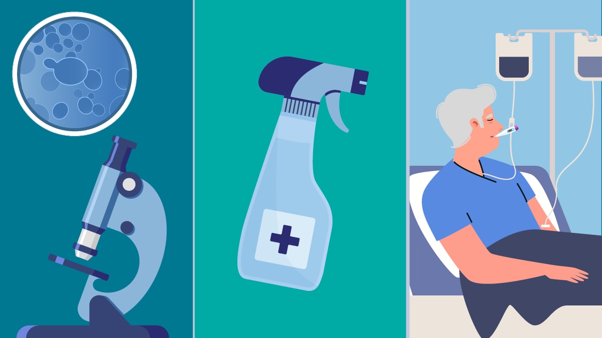 Three panel image of a microscope with a petri dish showing C. auris fungi in a petri dish; the second panel is a disinfectant spray bottle, the last image is of a patients hooked to a central line and IV with a fever.