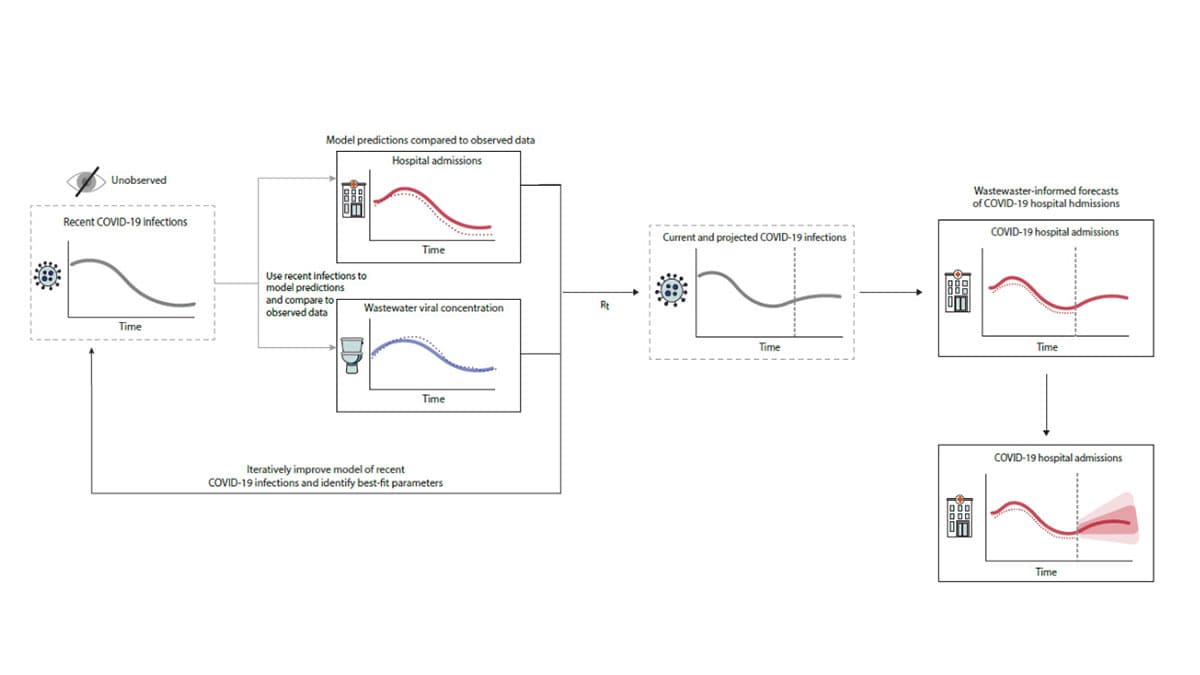 CFA model process graphic