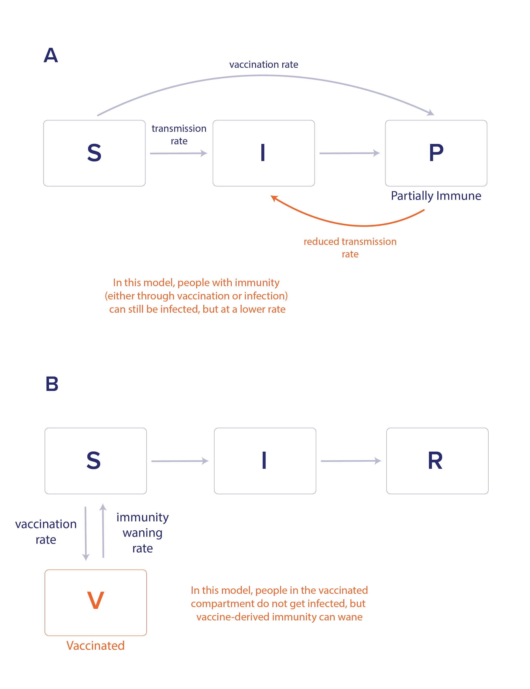 Two SIR model diagrams with added arrows and compartments for vaccination.