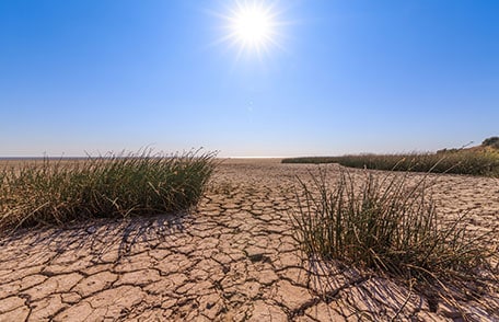 The sun beats down on parched, cracked soil.