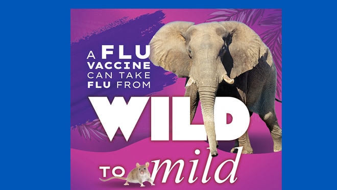 If you are 65 and older, ask your provider about a preferentially recommended flu shot that could be more effective to tame flu's wilder symptoms.