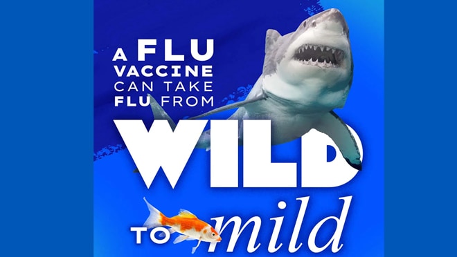 A flu vaccine can take flu from wild to mild. A flu vaccine is the best way to tame flu.