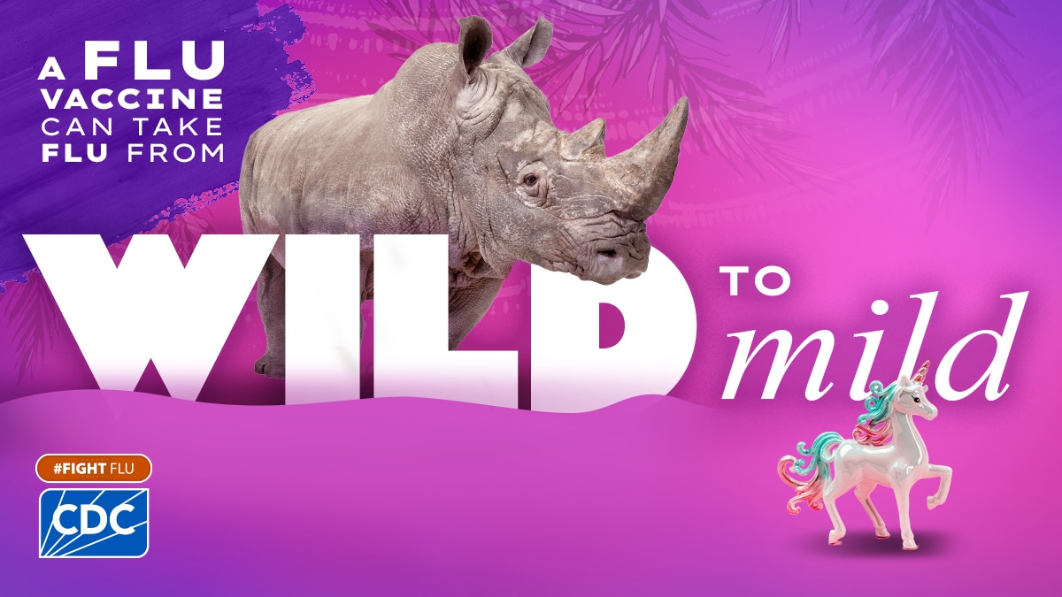 A flu vaccine can take flu from wild to mild. A rhinoceros above "wild" and a toy unicorn is under "mild."