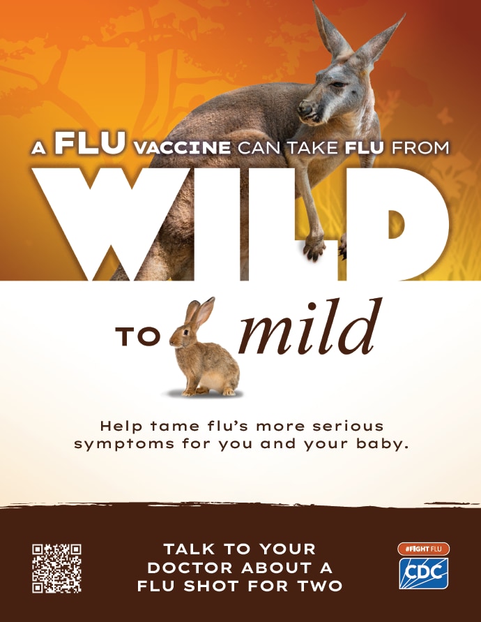 A flu vaccine can take flu from wild to mild.  Help tame flu's more serious symptoms for you and your bably. #fightflu cdc logo