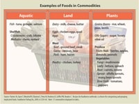 Chart: Examples of Foods in Commodities (Categories)