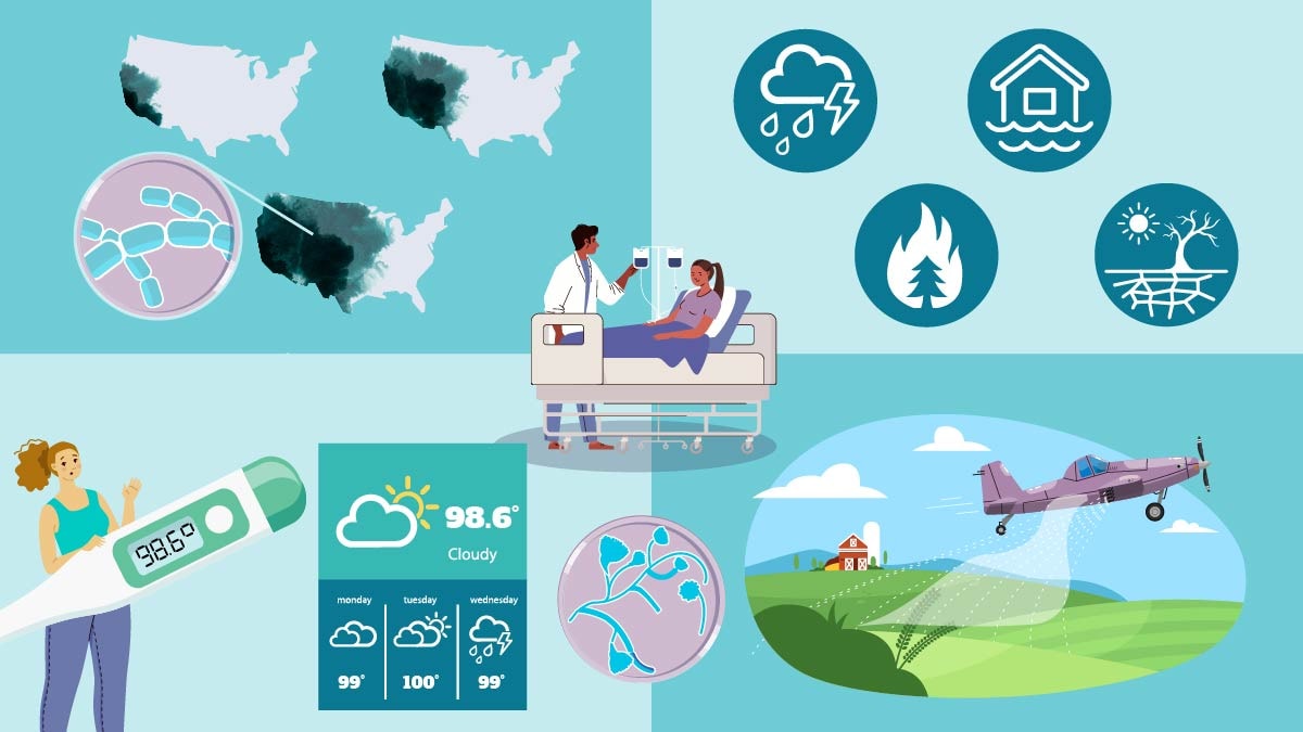 graphic showing fungal disease spread on map, extreme weather events, rising temperatures, and spraying fungicices.