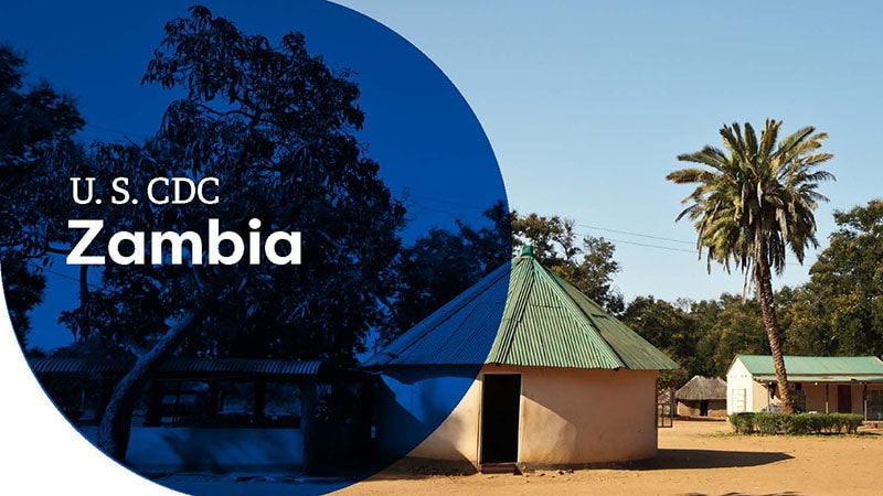 A rural Zambian setting with a hut, palm tree, and clear blue skies.