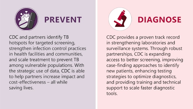 Image describing CDC's global TB response.