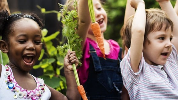 Group of children cheering with fresh carrots in their hands