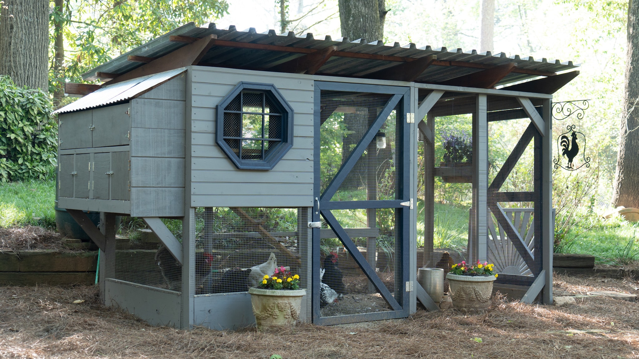 A chicken coop in a backyard