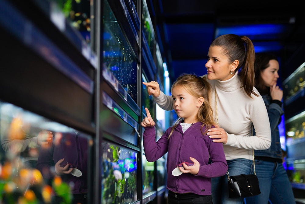 Mom and daughter looking at fish in fish tanks