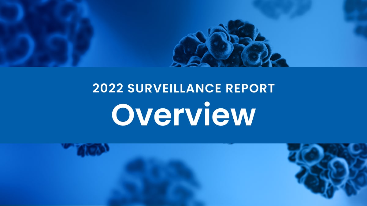 2022 Hepatitis Surveillance Report Overview