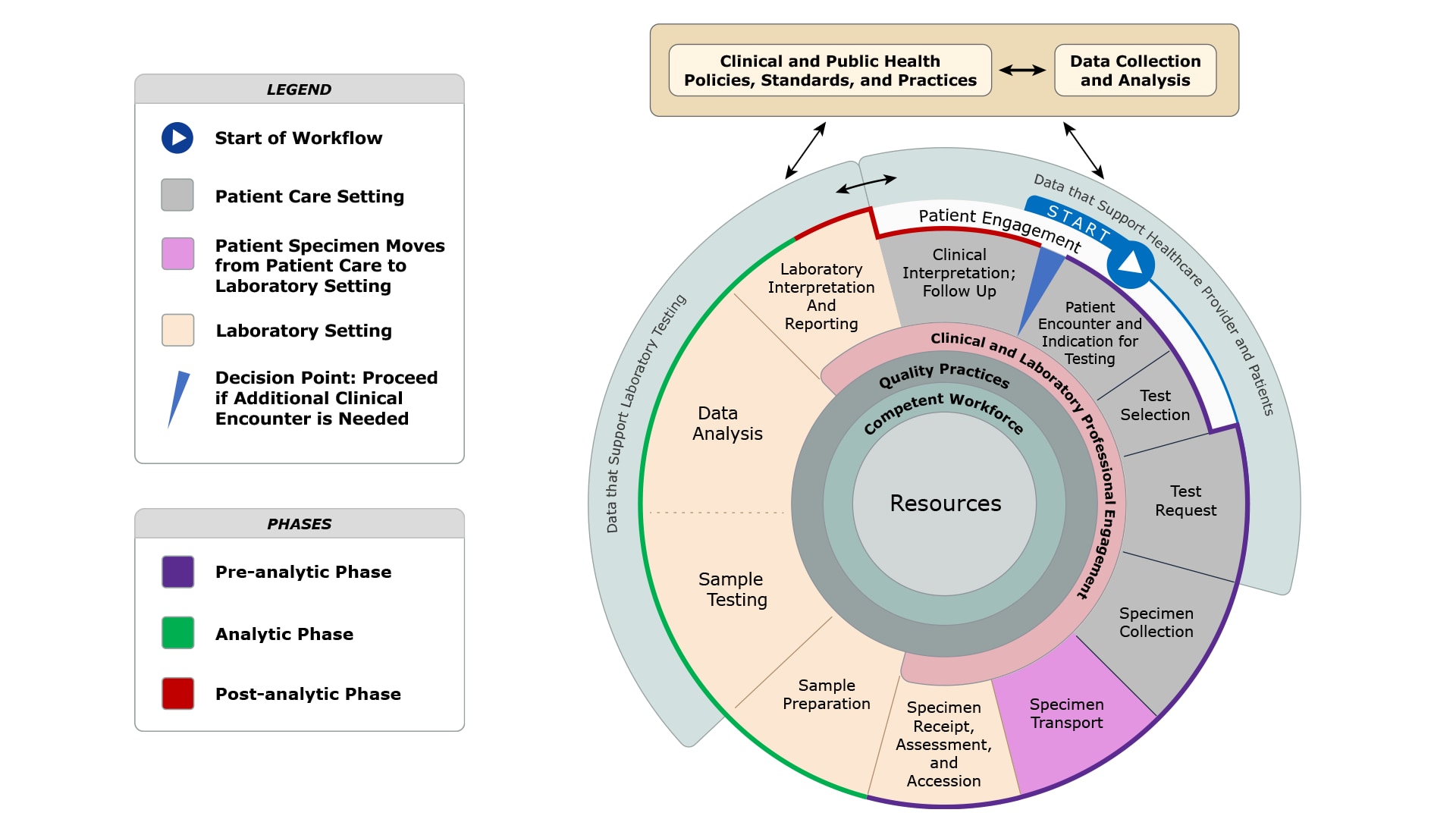 Illustration of the different phases of the Total Testing Process framework.