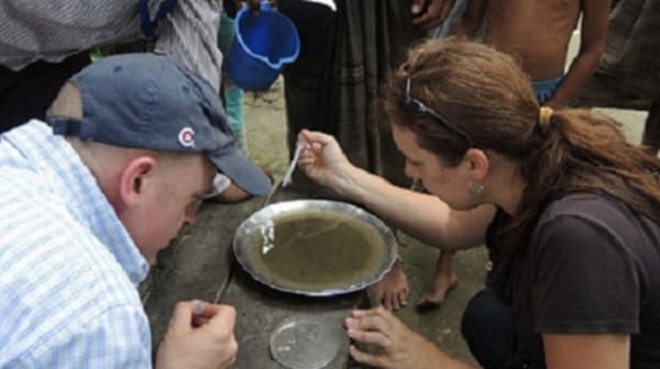 Scientist checking standing water for mosquito larvae.