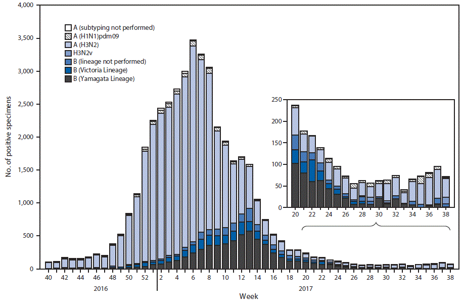 The figure above is a bar chart showing the number of respiratory specimens testing positive for influenza reported by public health laboratories, by influenza virus type, subtype/lineage, and surveillance week in the United States during October 2, 2016–September 23, 2017.