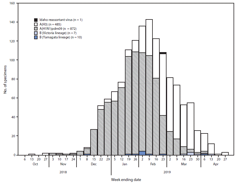 The figure is a histogram, an epidemiologic curve showing the number of respiratory specimens testing positive for influenza reported by Idaho Bureau of Laboratories(N = 1,375), by influenza virus type, subtype/lineage, and surveillance week, in Idaho during October 6, 2018–April 27, 2019.