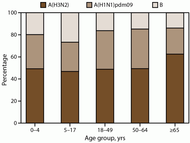 Figure illustrates the distribution of influenza type and subtype among laboratory-confirmed influenza-associated hospitalizations by age group for the 2010–11 through 2022–23 influenza seasons in the United States. Data source is the Influenza Hospitalization Surveillance Network.