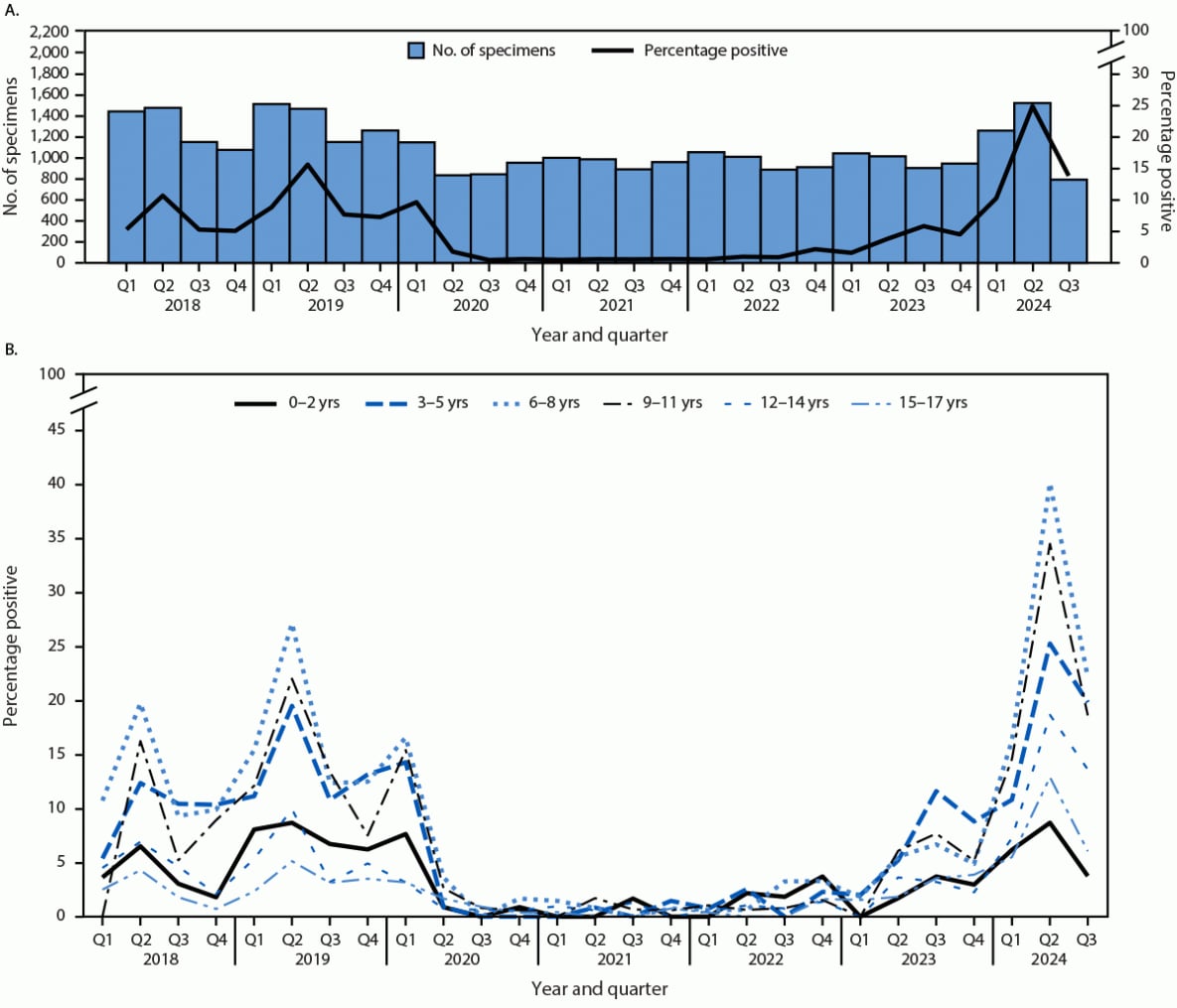 The figure is a histogram illustrating the number of clinical human parvovirus B19 specimens tested for immunoglobulin M and a line graph illustrating the percentage of positive test results among children and adolescents aged <18 years, by quarter, and the percentage of positive test results, by age group and quarter in the United States during 2018–2024.