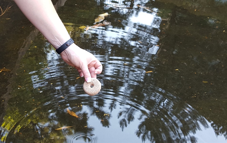 Person treating an aquatic habitat with a bti dunk.