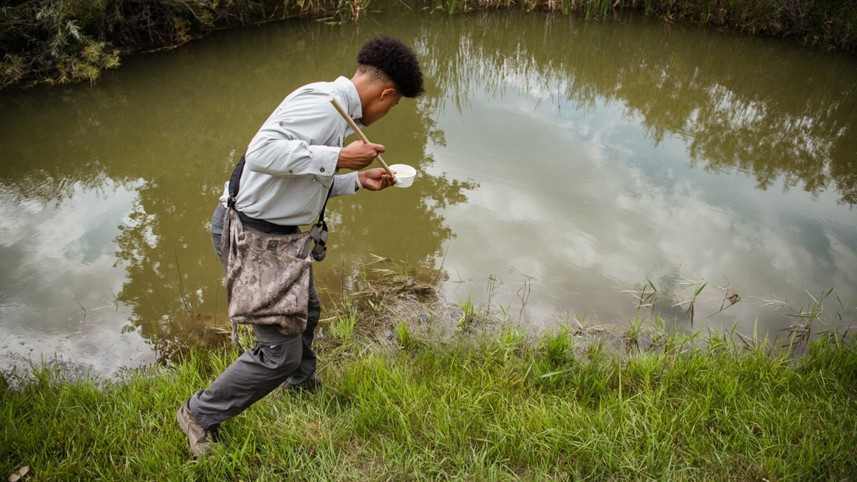 Mosquito control professional collecting larvae