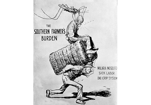 National Archives and Records Administration - 1923 cartoon, “Southern Farmer’s Burden,” depicting a white farmer carrying a cotton bale with a sick black worker being stung by a giant mosquito - In response to high rates of malaria among rural blacks, the Georgia State Board of Health appealed to white farmers to provide adequate housing to their African American workforce. Blacks who labored on southern cotton plantations typically lived in poor quality housing near swampy land – a perfect breeding ground for malaria-carrying mosquitos.