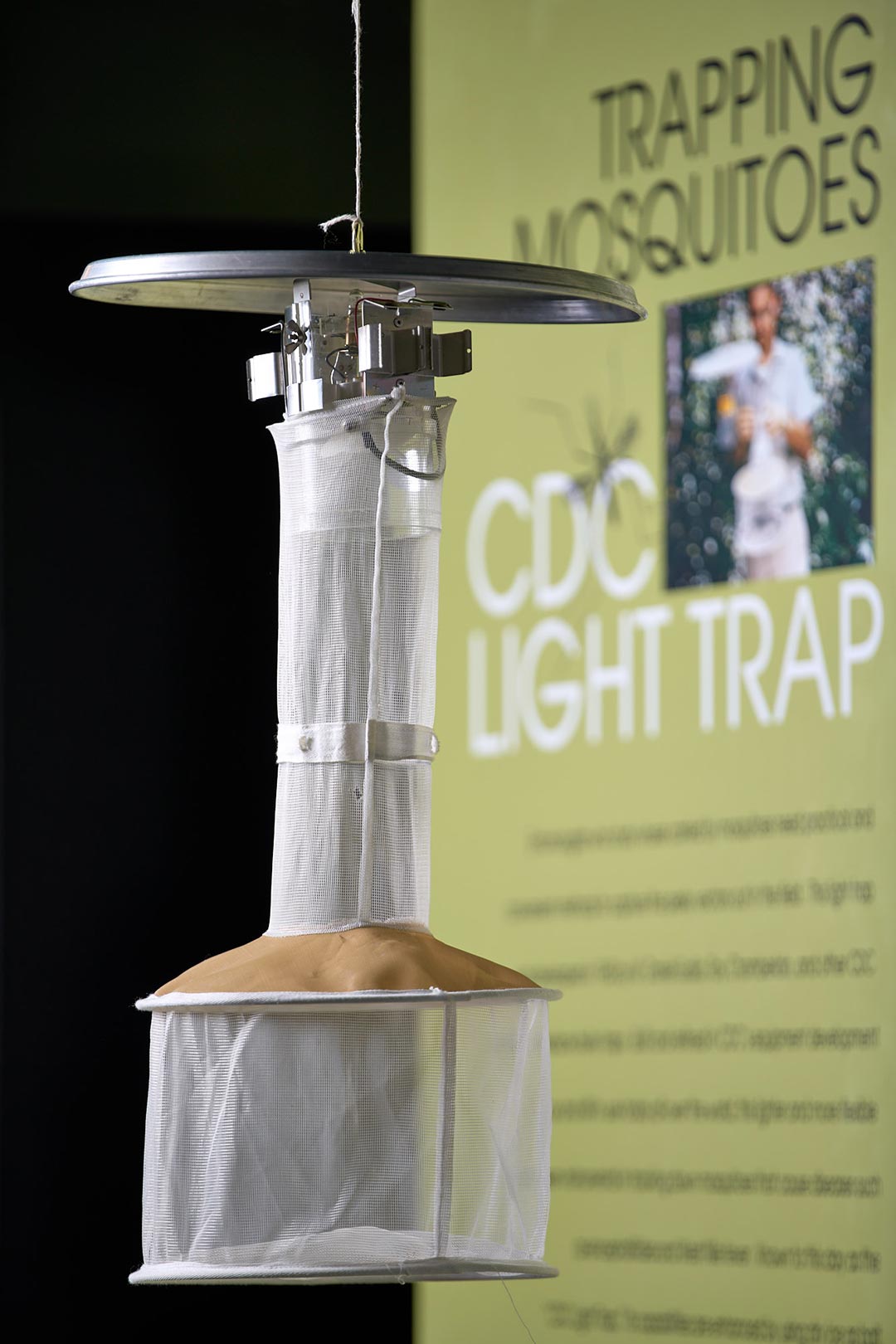 mosquito light trap