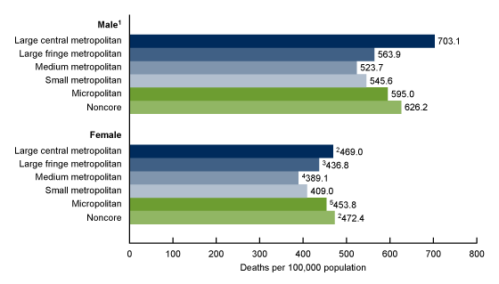 Figure 4 is a bar chart showing COVID-19 death rates for people 65 and over by urbanicity of county of residence and sex in the United States in 2020.