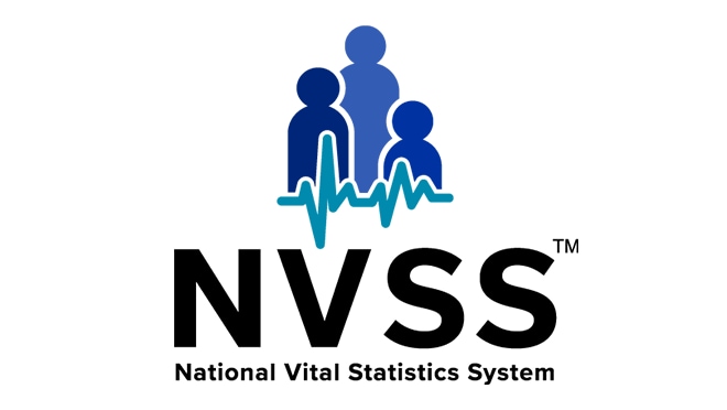 The National Vital Statistics System logo shows the outlines of 3 people above an EKG line.