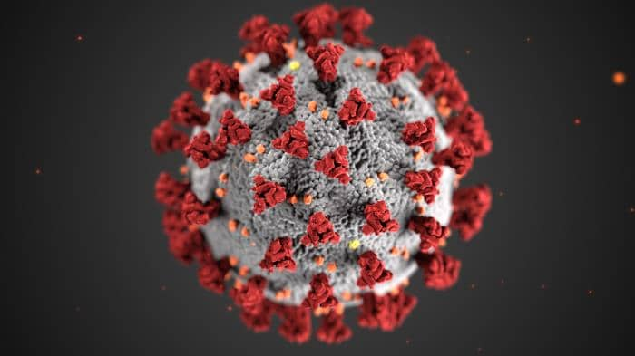 ultrastructural morphology exhibited by coronaviruses