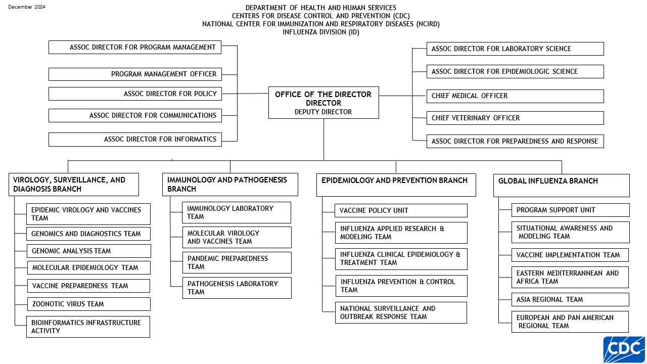 Influenza Division organization chart