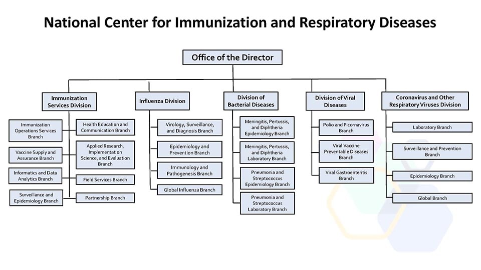 ncird organizational chart