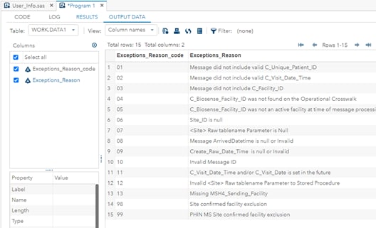 SAS Query Instruction