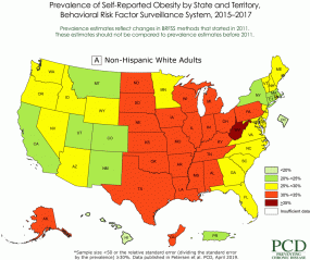 Racial and Ethnic Disparities in Adult Obesity in the United States: CDC’s Tracking to Inform State and Local Action