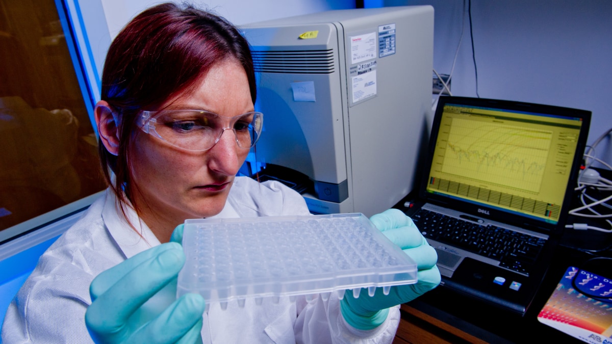 A CDC laboratorian sets up for a polymerase chain reaction test sample for pertussis.