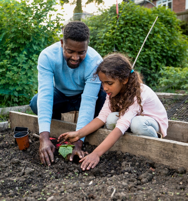 An adult is helping a child plant in the garden.