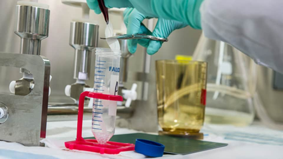 close up of hands wearing PPE gloves handling samples in a lab