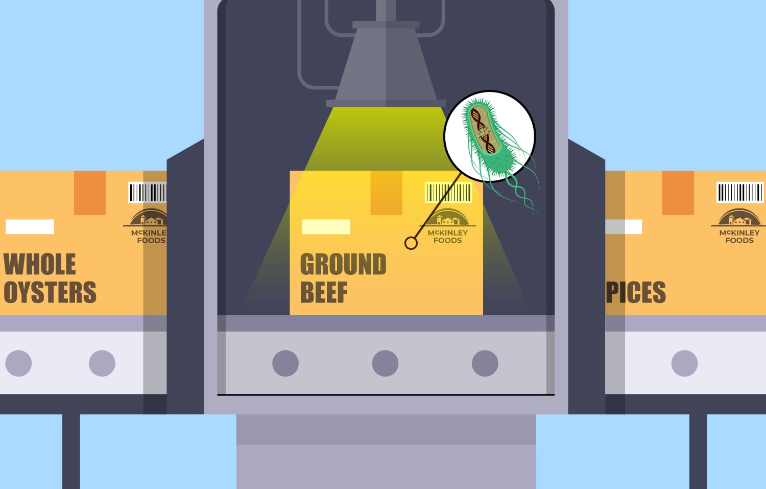 An irradiation chamber is showed with ground beef going through the chamber. A close up shows germs on the meat breaking down.