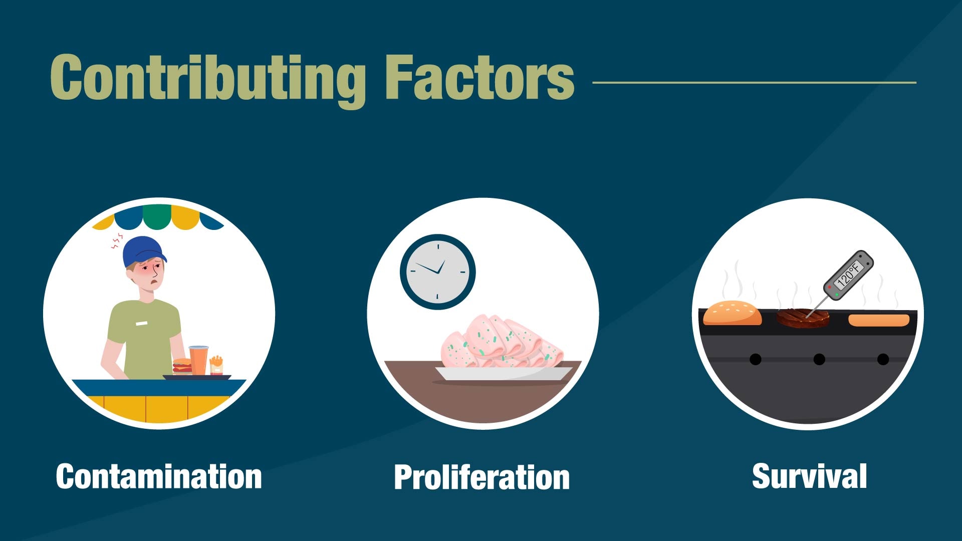 Graphic of three types of contributing factors: Contamination, proliferation, and survival.