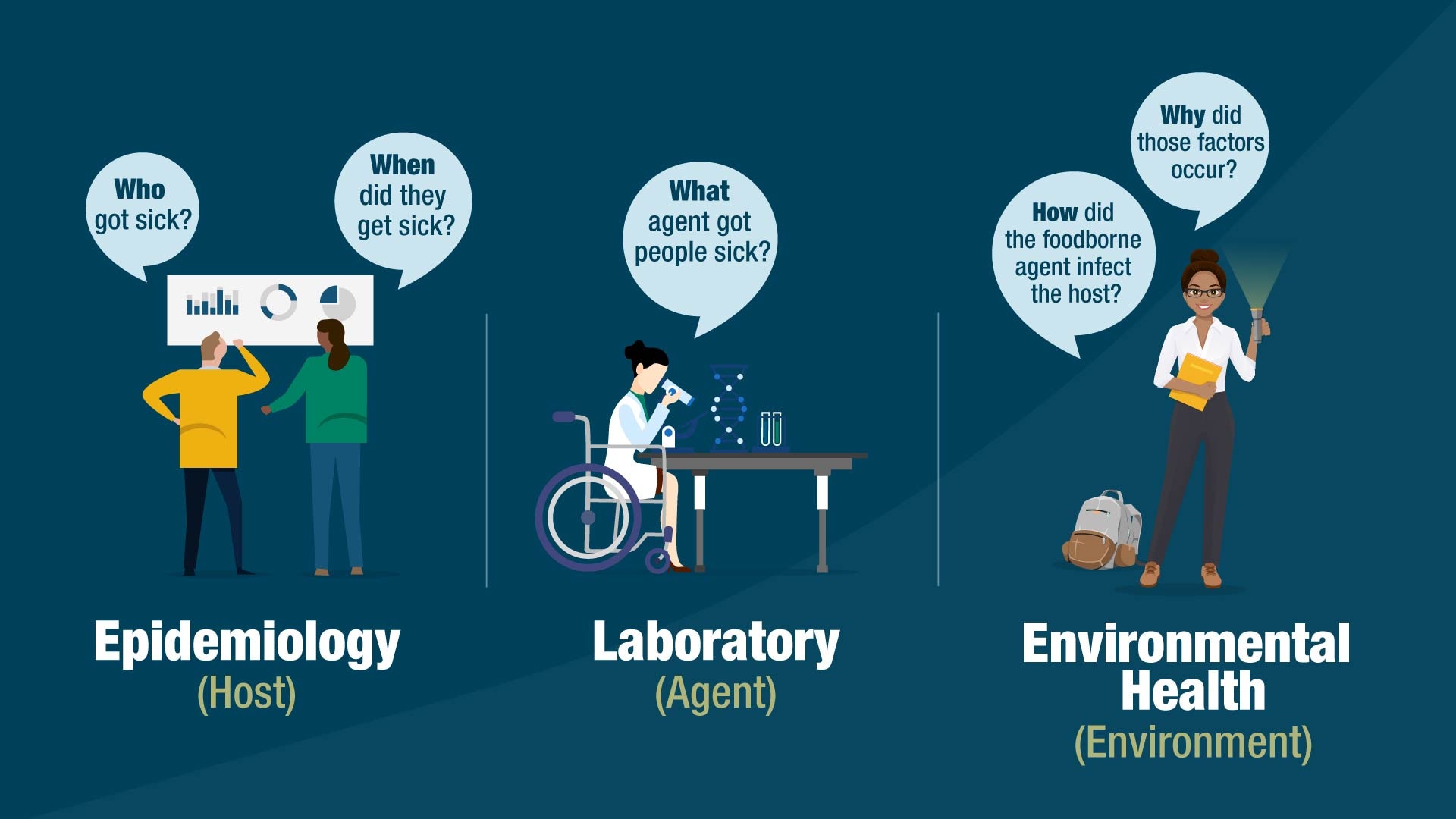 graphic of epidemiologists, a laboratorian, and a public health investigator.