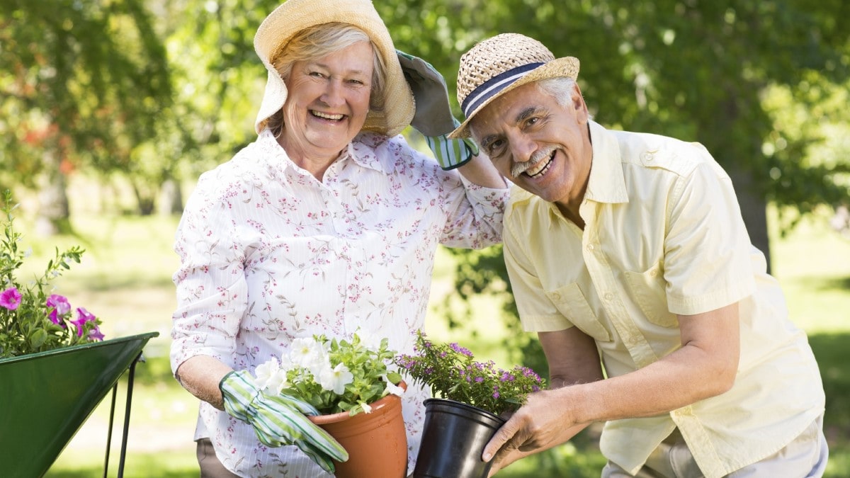 a senior couple gardening