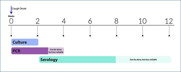 pertussis cough chart as described in text