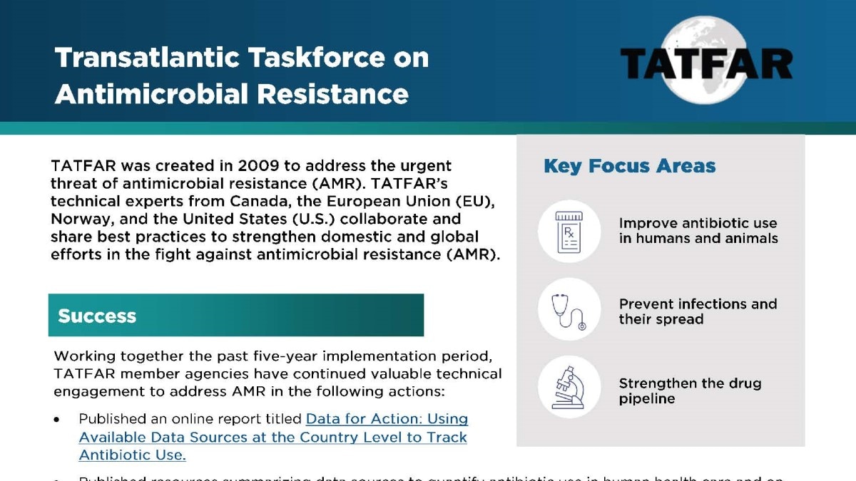 About TATFAR Summary