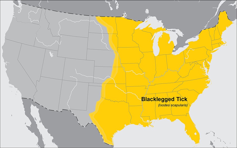 Approximate distribution of the Blacklegged tick in the United States of America. The map shows that the blacklegged tick is widely distributed across the entire eastern half of the United States