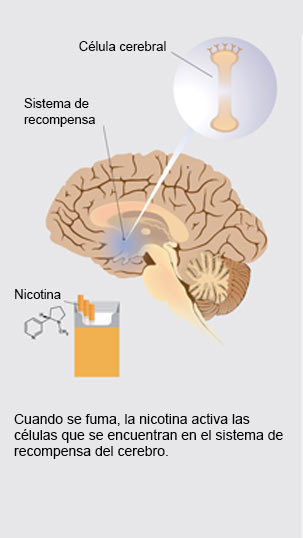 Cómo puede ayudar la vareniclina a dejar de fumar - 1